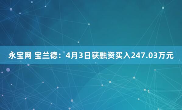 永宝网 宝兰德：4月3日获融资买入247.03万元