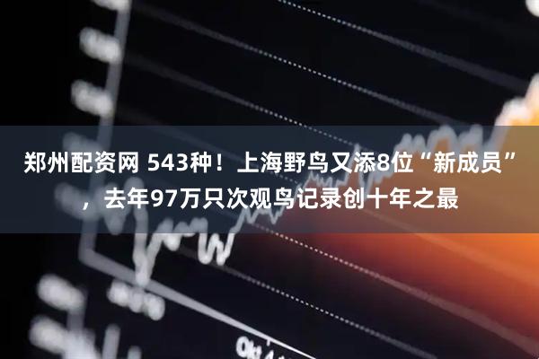 郑州配资网 543种！上海野鸟又添8位“新成员”，去年97万只次观鸟记录创十年之最