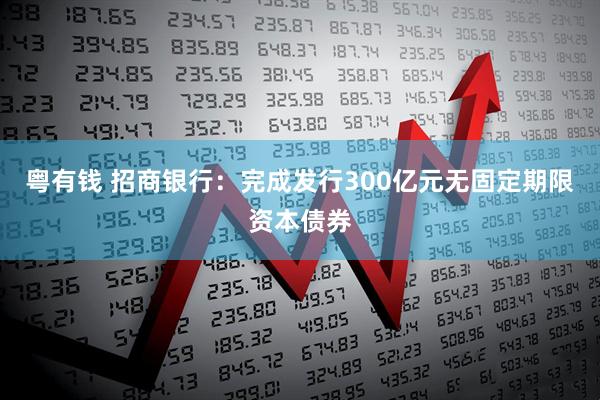 粤有钱 招商银行：完成发行300亿元无固定期限资本债券